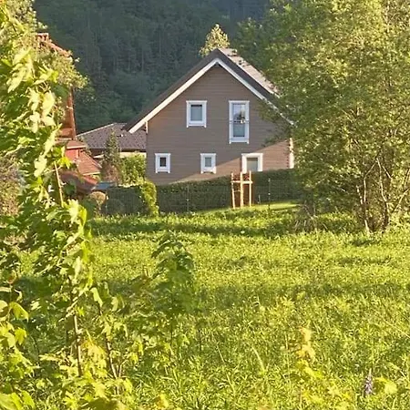 Dom wakacyjny Ferienyogahaus Bergblick Neues Blockhaus!